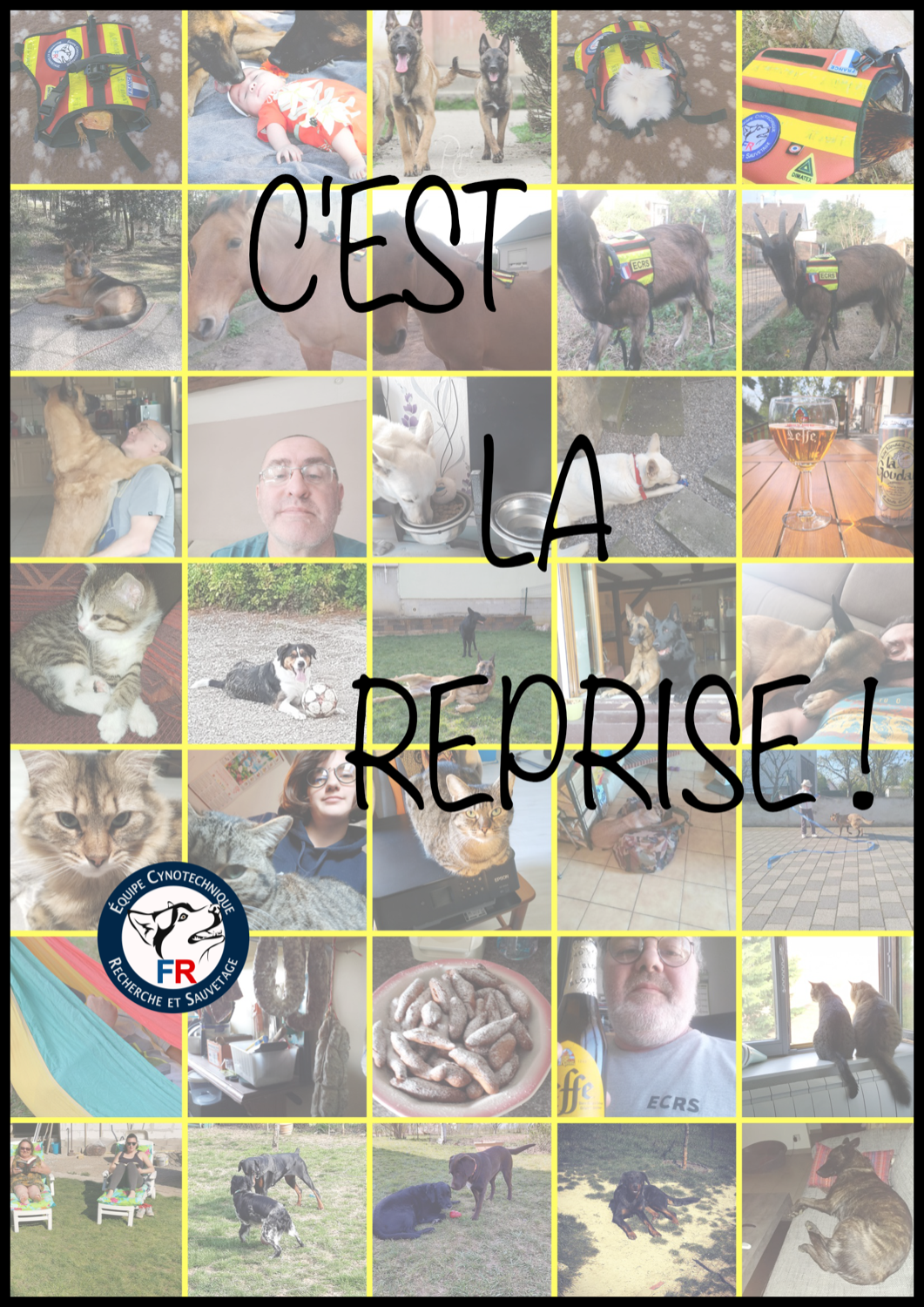 MONTAGE REPRISE ECRS 572