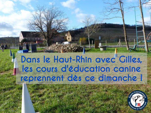 Haut-Rhin - ÉDUCATION CANINE