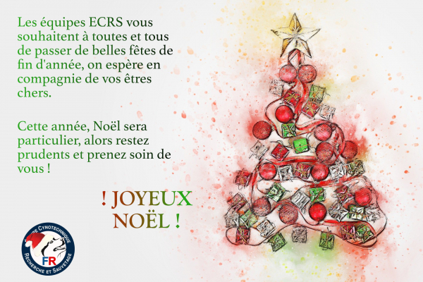 JOYEUX NOËL